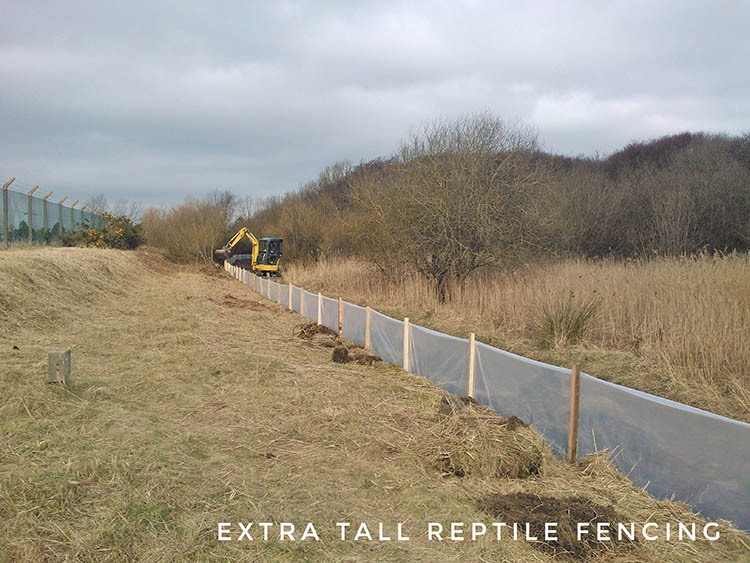 ectra tall reptile fencing