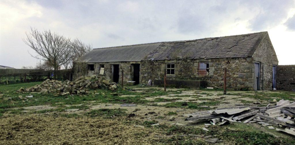 Permitted Development Rights and Protected Species Contract Ecology