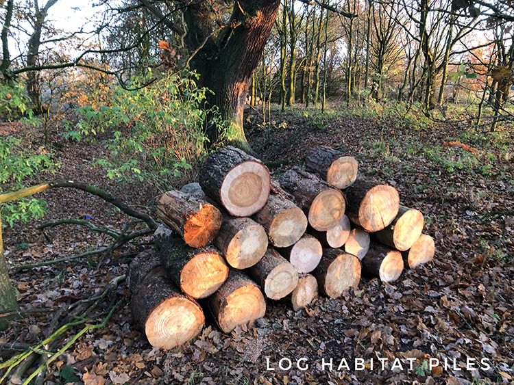 log pile for wildlife